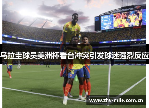 乌拉圭球员美洲杯看台冲突引发球迷强烈反应 乌拉圭球员美洲杯看台冲突引发球迷强烈反应